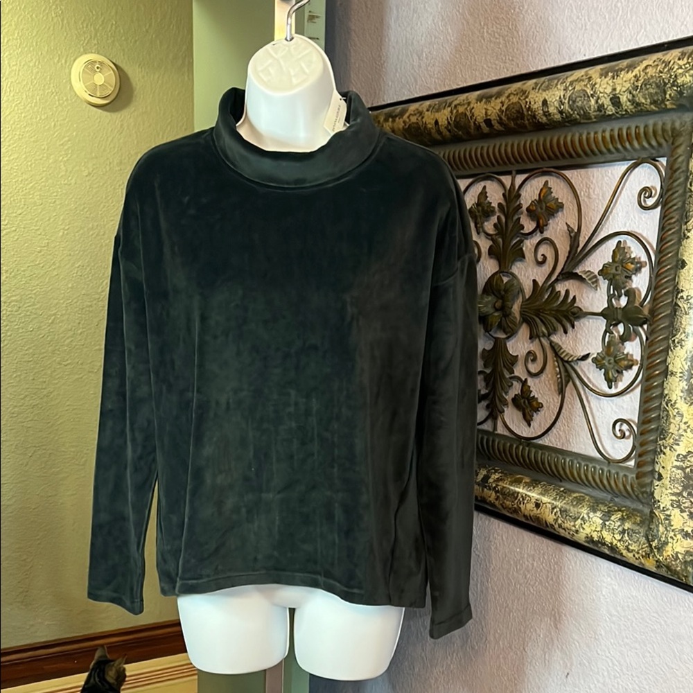 NWT Banana Republic Turtleneck Dark Green Velour Sz S